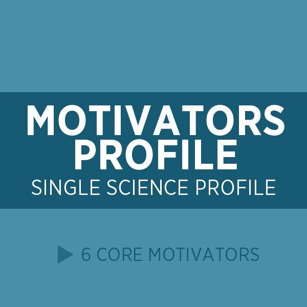 Motivators Profile